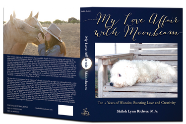 My Love Affair with Moonbeam: Ten + Years of Wonder, Bursting Love and Creativity, 480 pages of full color & B/W Photographs and messages of what was written to John Mayer at the beginning of the relationship 2010-