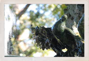 The Unutterable Uttered, the 'Isn't It Just Marvelous?' Prodigious Day of 2010 Peace Fountain Photograph Prints Digital Download